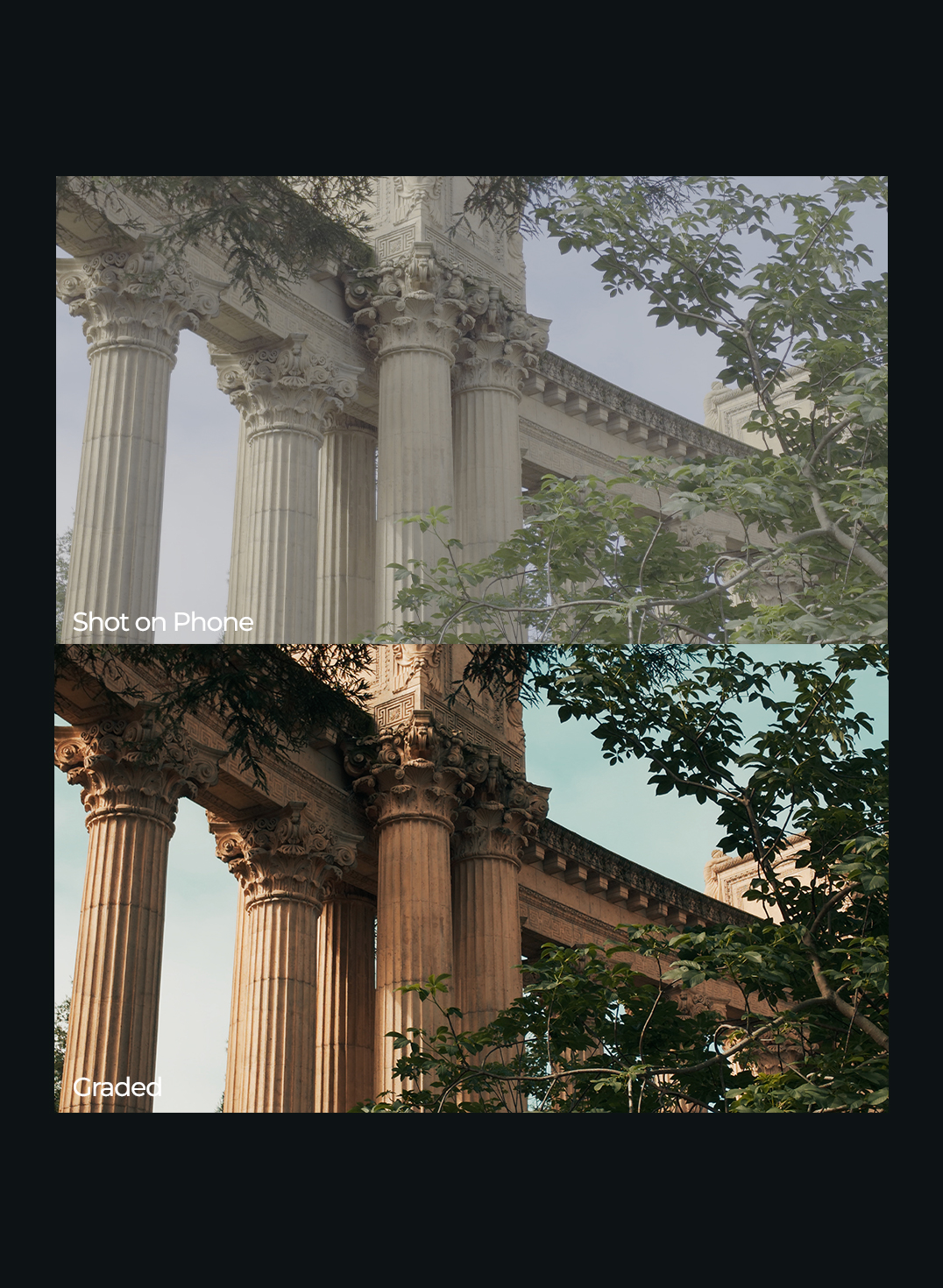 Pocket Cinematic course detail